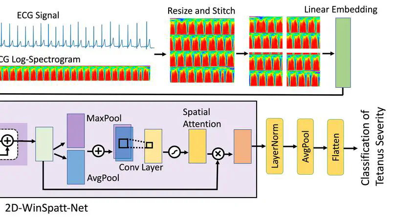 2D-WinSpatt-Net: A Dual Spatial Self-Attention Vision Transformer Boosts Classification of Tetanus Severity for Patients Wearing ECG Sensors in Low-and Middle-Income Countries